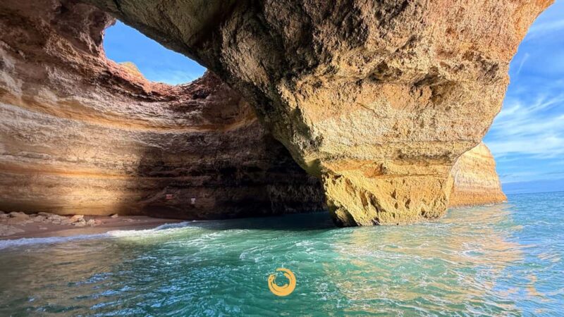 Vilamoura: Benagil Caves and Coastline Boat Tour - The Region’s Marine Life and Conservation Efforts
