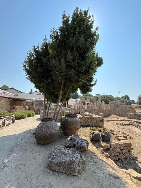 Villa Romana del Casale Exclusive Guided Tour - Booking Flexibility and Price