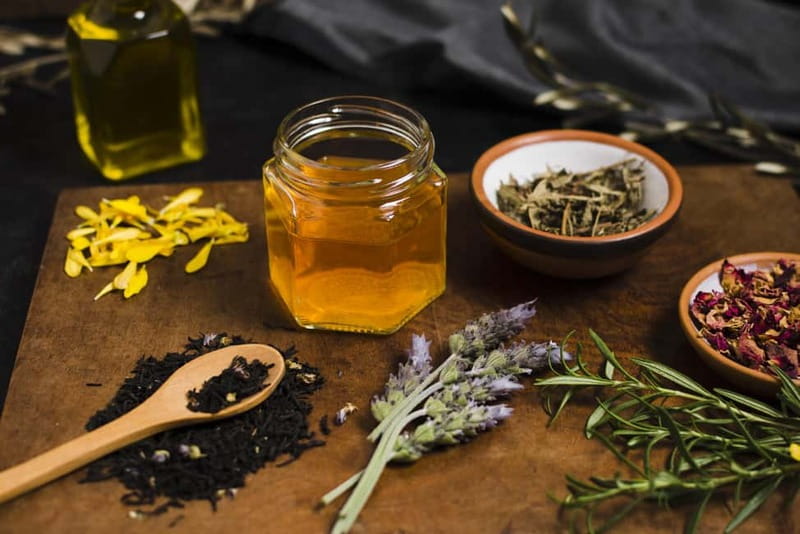 Villacidro - The Cogas ointment: the secrets of herbs - Key Points