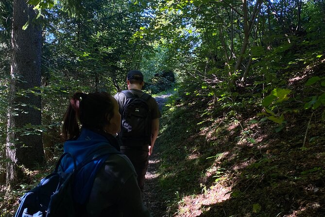 Village Explorer - Final Thoughts on the Village Explorer Tour