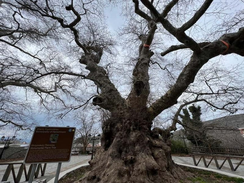 Village Vibes Tour of Heraklion Mainland and Lasithi Plateau - How This Tour Compares with Other Crete Experiences