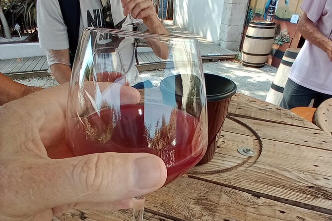 Villages and wine tasting around the Pic Saint Loup - Exploring Les Matelles: A Medieval Village with Character