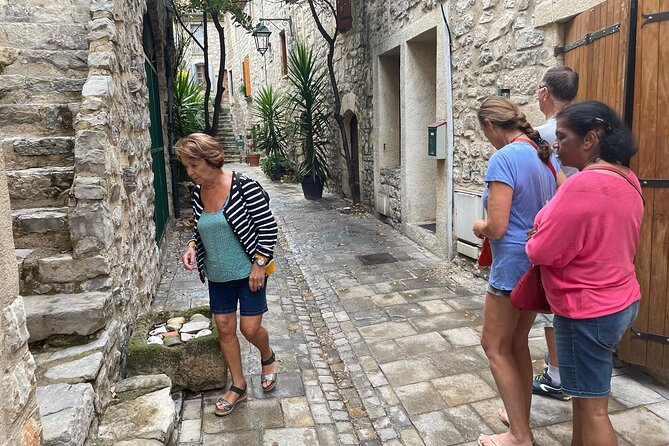 Villages and wine tasting around the Pic Saint Loup - Wine Tasting in a Vineyards Setting