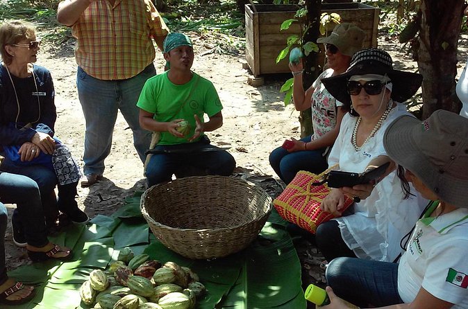 Villahermosa- Route Of Chocolate - Visiting the Cocoa Hacienda called Jesus Maria CACEP
