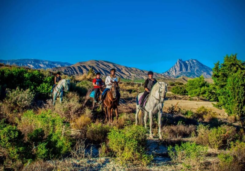 Villajoyosa: Horseback Riding in the Mountains - Reviews and Feedback Highlights