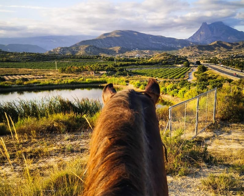 Villajoyosa Horseback Riding in the Mountains with sea views - The Mountain and Sea Views: Highlights of the Ride
