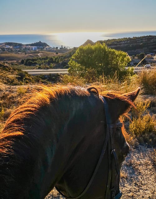 Villajoyosa Horseback Riding in the Mountains with sea views - The Booking Flexibility and Cancellation Policy
