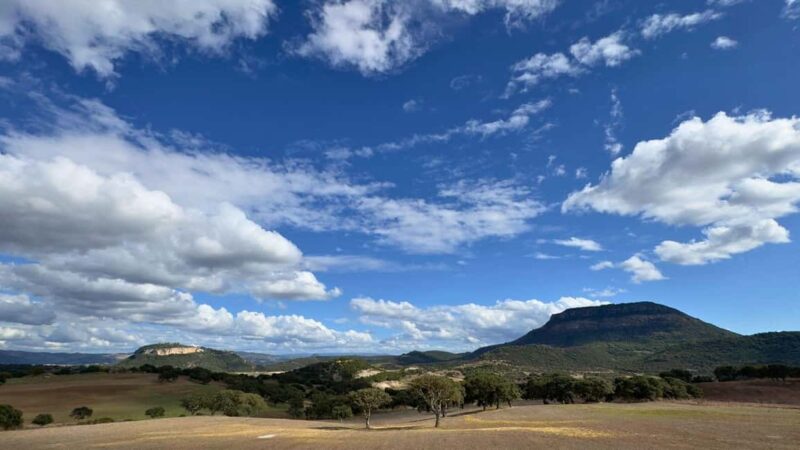 Villanova Monteleone: visit a dairy farm with cheese tasting - Explore a Sardinian Dairy in Villanova Monteleone