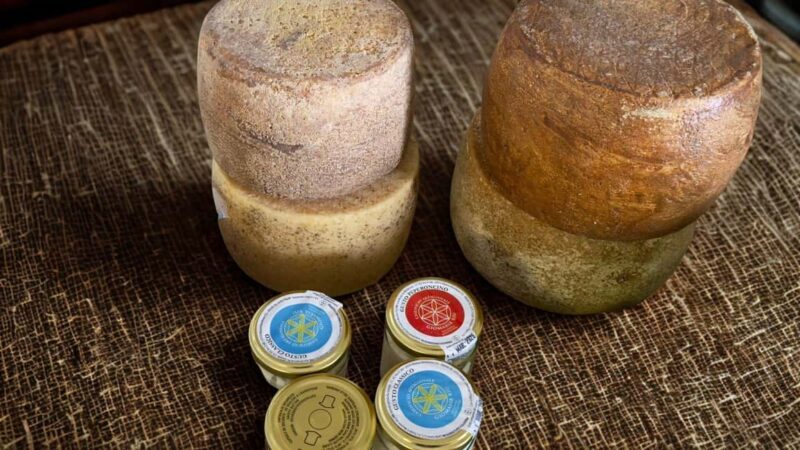 Villanova Monteleone: visit a dairy farm with cheese tasting - Tasting Sardinian Cheeses and Wines