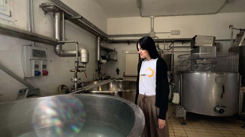 Villanova Monteleone: visit a dairy farm with cheese tasting - Practical Details on Meeting and Logistics