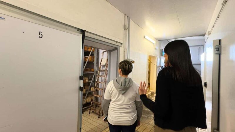 Villanova Monteleone: visit a dairy farm with cheese tasting - The Authentic Charm of Villanova Monteleone’s Countryside