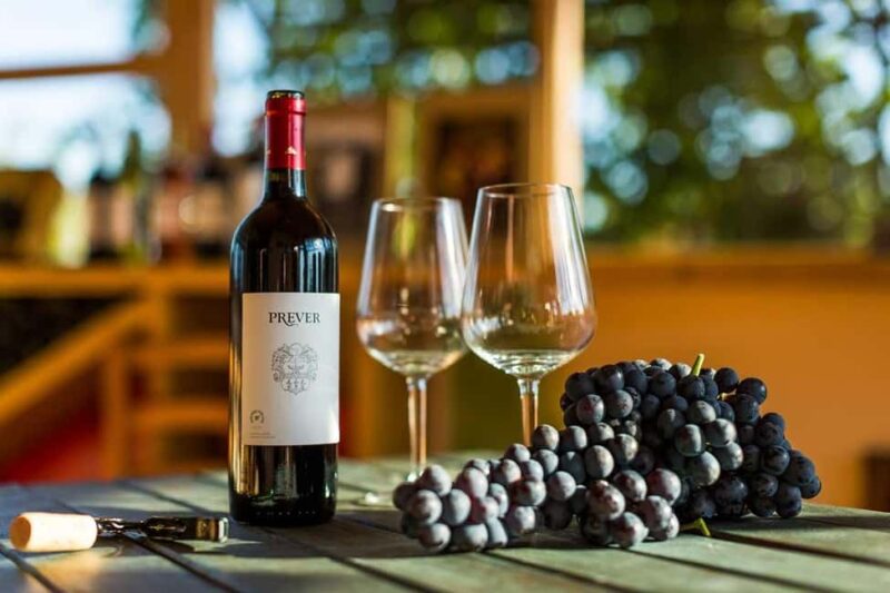 Villarbasse: Wine Tasting in the Historic Vineyards - Scenic Vineyard Walks and Mountain Views