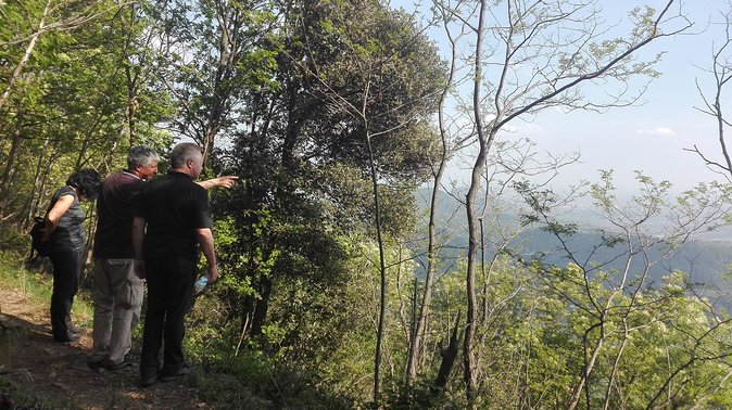 Villas and Castles of the Euganean Hills - Guided Visits and Historical Insights