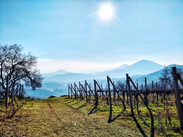 Villas and Castles of the Euganean Hills - Access, Physical Requirements, and Practicalities