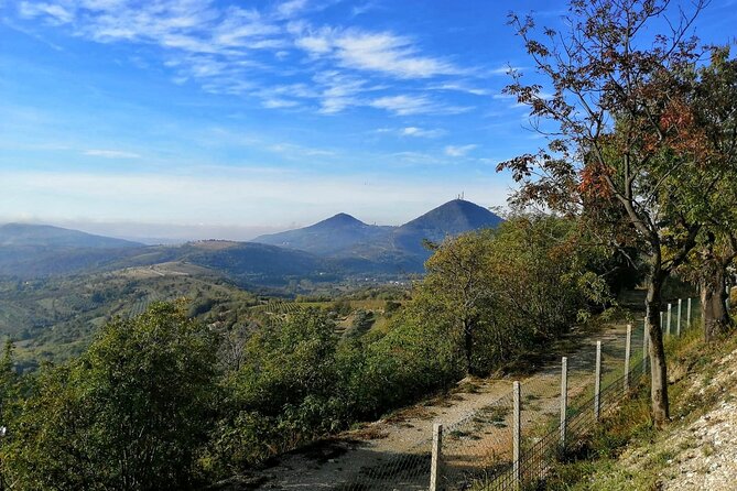 Villas and Castles of the Euganean Hills - The Experience with Lovivo Tour Experience