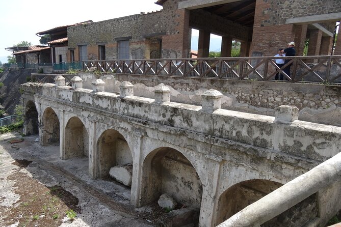 Ville di Stabiae (Transfer from Castellammare di stabia+guide) - Vintage Van Transportation: Classic Style and Comfort