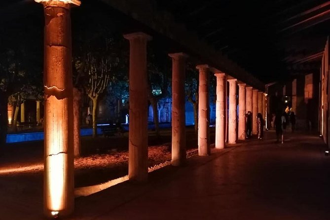 Ville di Stabiae (Transfer from Castellammare di stabia+guide) - Flexibility and Cancellation Policy