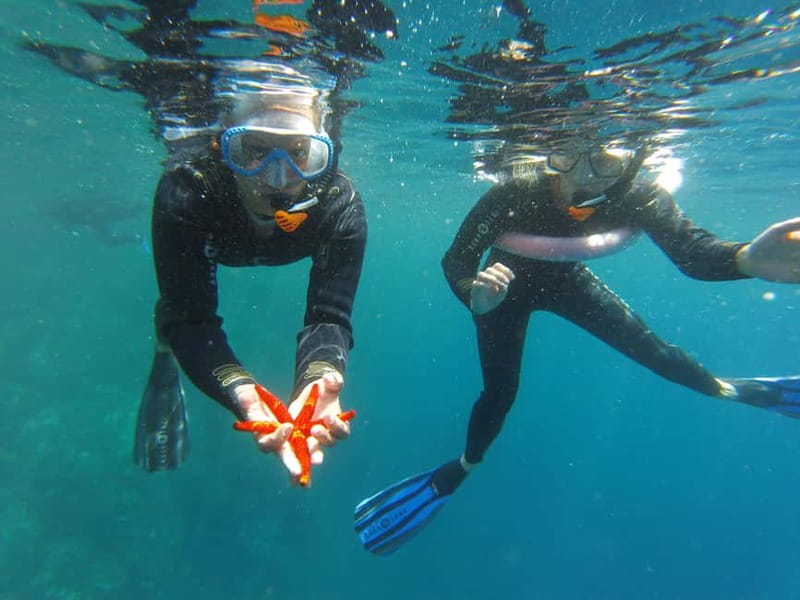 Villefranche-sur-Mer: guided snorkeling to discover the aquatic world - Key Points