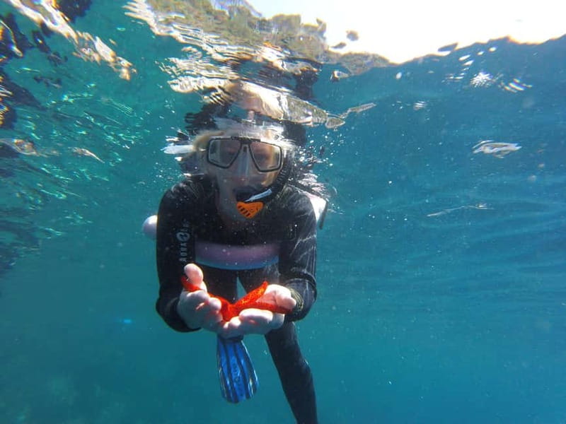 Villefranche-sur-Mer / Nice: snorkeling in privacy on a private boat - Discover the Charm of Villefranche-sur-Mer with a Private Snorkeling Experience