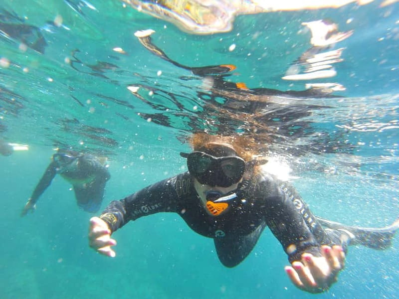 Villefranche-sur-Mer / Nice: snorkeling in privacy on a private boat - Key Points