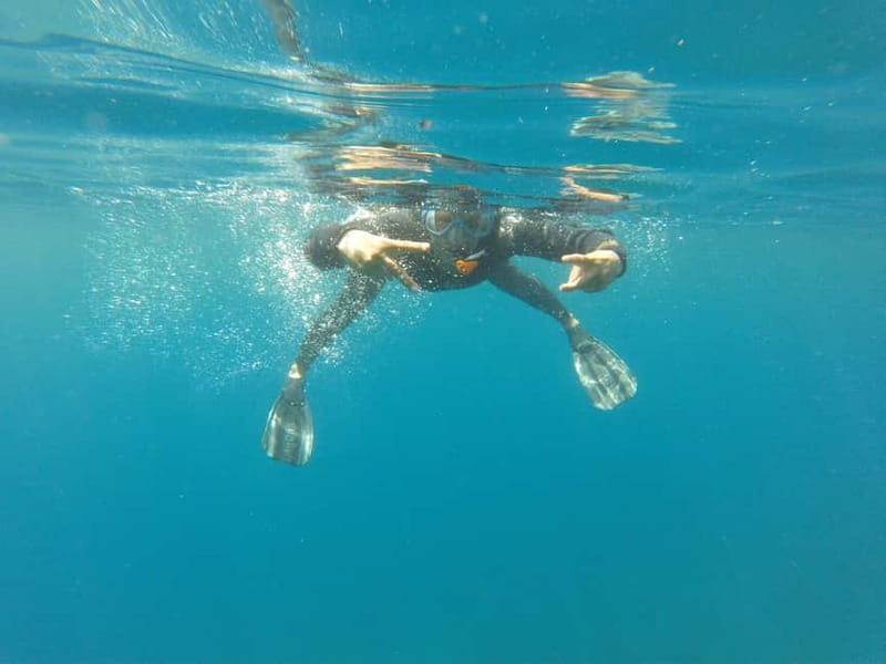 Villefranche-sur-Mer / Nice: snorkeling in privacy on a private boat - Practical Logistics and Accessibility