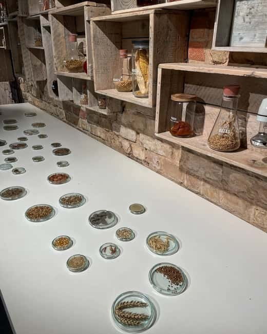 Vilnius: Beer Tasting Experience with Snack Platter - Tasting the Best of Vilnius’ Craft Beer Scene