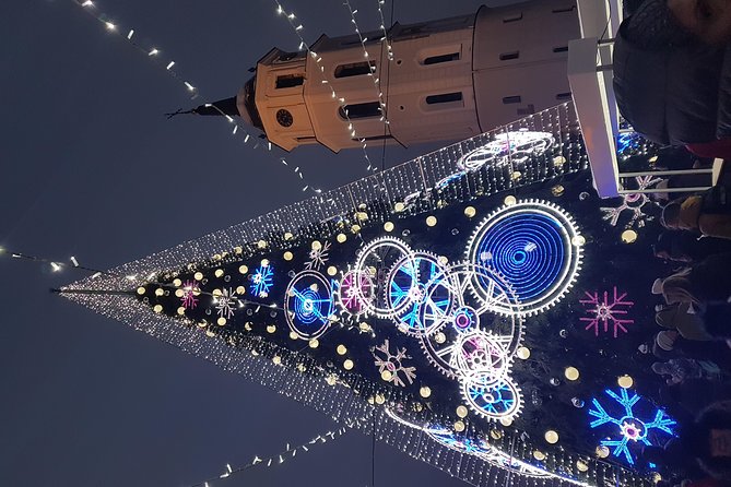 Vilnius city tour- walking& driving - Easy Round-Trip Transport from Vilnius Hotels