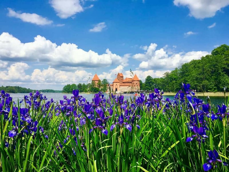 Vilnius: Half-Day Sightseeing Tour to Trakai - Learning About the Karaites and Other Ethnic Groups