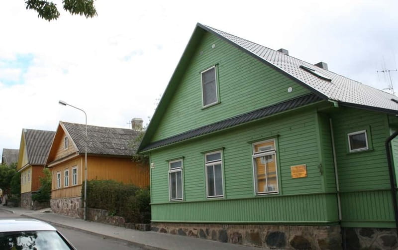 Vilnius: Half-Day Sightseeing Tour to Trakai - Practical Aspects: Guides, Transport, and Flexibility