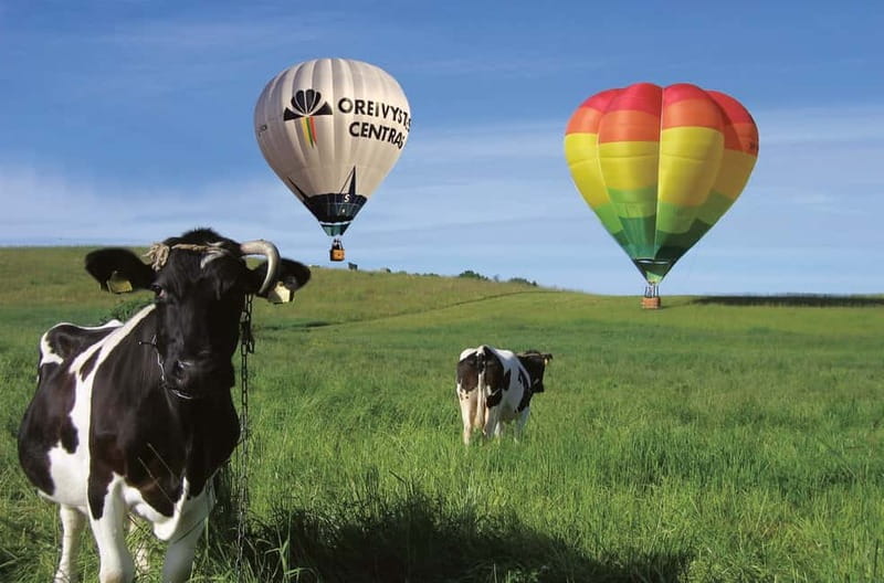 Vilnius or Trakai: Hot Air Balloon Flight - Hotel Transfer and Group Size Details