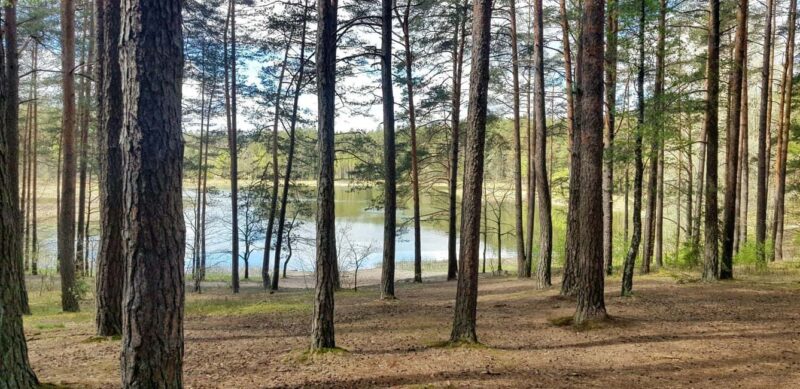 Vilnius: Verkiai Park & Green Lakes Self-guided Bike Tour - Key Points