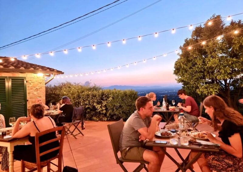 Vinci: Homemade Dinner and Oil Tasting Tour in a Tuscan Farm - Key Points