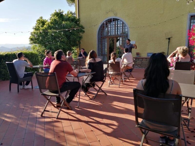 Vinci: Homemade Dinner and Oil Tasting Tour in a Tuscan Farm - Walking Among Olive Trees and Learning Oil Secrets