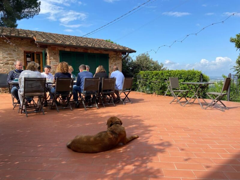 Vinci: Homemade Dinner and Oil Tasting Tour in a Tuscan Farm - Dinner on the Panoramic Terrace