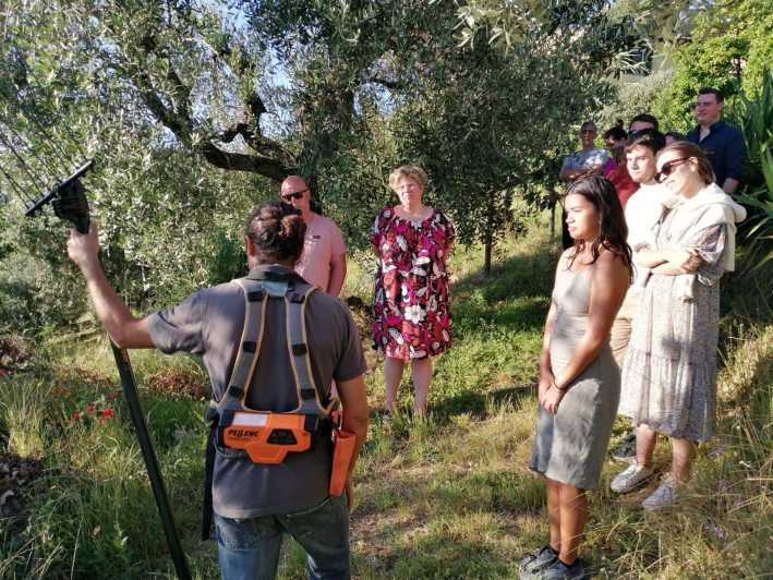 Vinci: Homemade Dinner and Oil Tasting Tour in a Tuscan Farm - Practical Details: Meeting Point, Accessibility, and Group Size