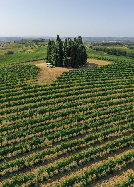 Vinci: wine-experience among the Tuscan hills - Discover Vinci’s Wine Charm for $39.86