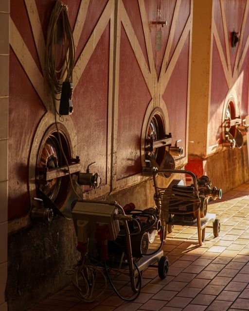 Vinci: wine-experience among the Tuscan hills - Key Points