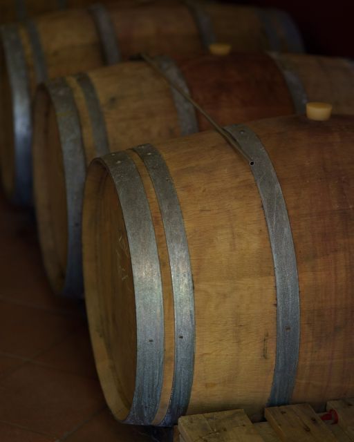 Vinci: wine-experience among the Tuscan hills - Exploring the Cellar and Wine Production