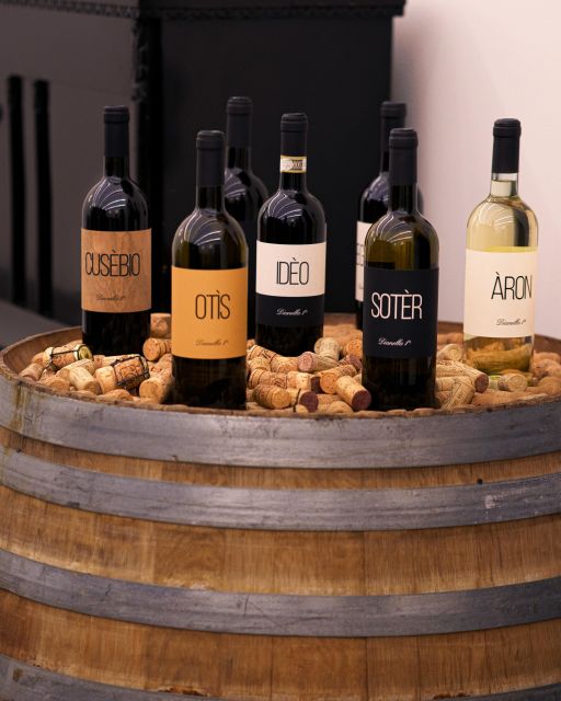 Vinci: wine-experience among the Tuscan hills - Guided Tasting of Three Wines