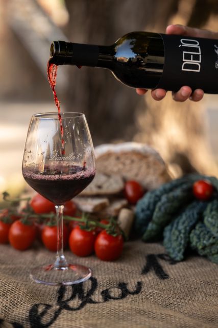 Vinci: wine-experience among the Tuscan hills - Timing, Flexibility, and Cancellation Policy