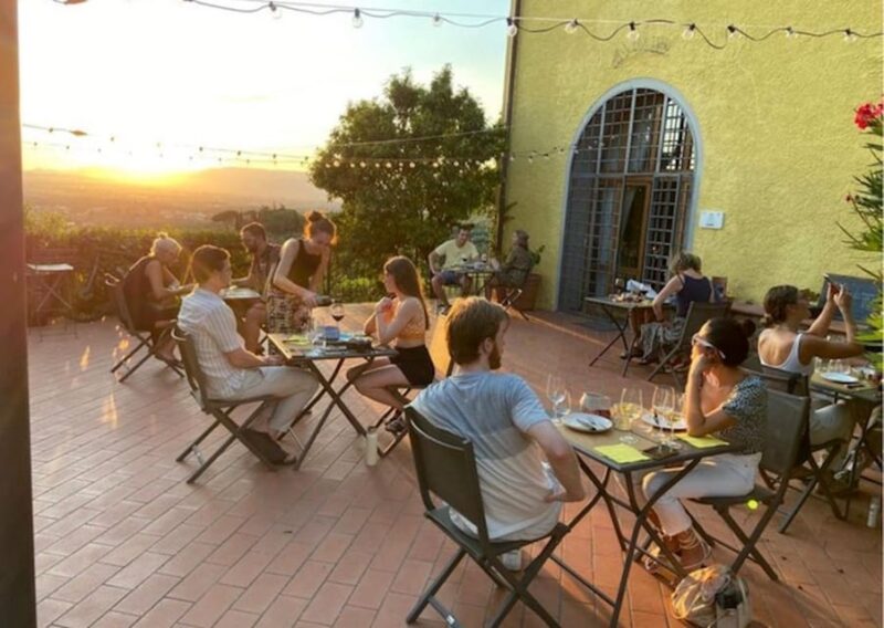 Vinci: Wine Tasting & Local Tuscan Food Dinner - Guided Wine Tasting with Organic Farm Owners