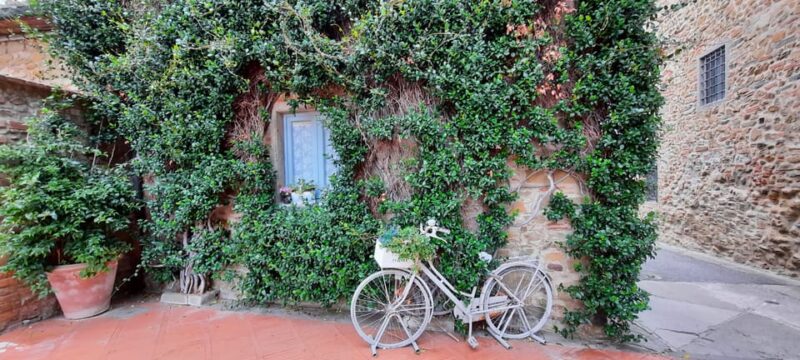 Vinci:Discovering Leonardo's Origins & Aperitif in Vineyards - Key Points