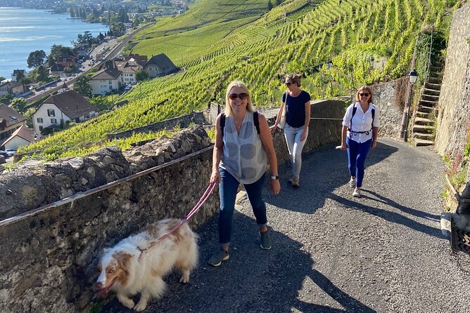 Vine Stories: Lavaux & Lutry wine walk - Key Points