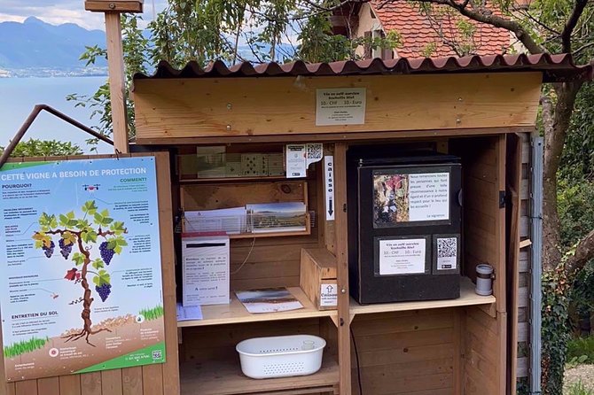 Vine Stories: Lavaux & Lutry wine walk - Exploring Lavaux’s UNESCO World Heritage Vineyards