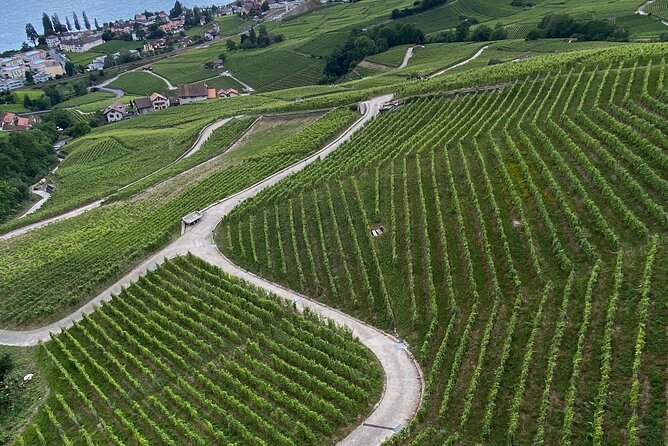 Vine Stories: Lavaux & Lutry wine walk - Concerns and Considerations