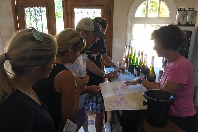 Vineyard cycle tours in and around Chinon, in the Loire Valley - Key Points