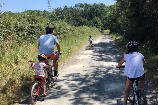 Vineyard cycle tours in and around Chinon, in the Loire Valley - Practical Details: Meeting Point and Group Size