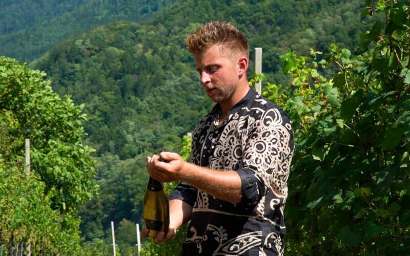 vineyard experience - Discover the Cembra Valleys Vineyards with TENUTA GOTTARDI