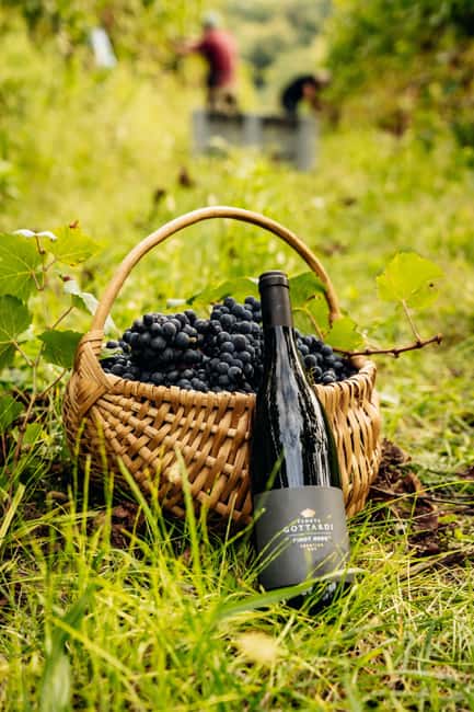 vineyard experience - Practical Details: Logistics and Group Size