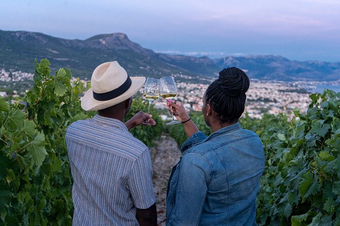 Vineyard Experience: Wine Tasting near Split - Key Points